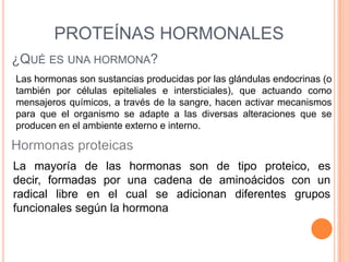 ¿QUÉ ES UNA HORMONA?
Las hormonas son sustancias producidas por las glándulas endocrinas (o
también por células epiteliales e intersticiales), que actuando como
mensajeros químicos, a través de la sangre, hacen activar mecanismos
para que el organismo se adapte a las diversas alteraciones que se
producen en el ambiente externo e interno.
La mayoría de las hormonas son de tipo proteico, es
decir, formadas por una cadena de aminoácidos con un
radical libre en el cual se adicionan diferentes grupos
funcionales según la hormona
PROTEÍNAS HORMONALES
 