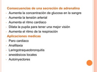 Consecuencias de una secreción de adrenalina
• Aumenta la concentración de glucosa en la sangre
• Aumenta la tensión arterial
• Aumenta el ritmo cardiaco
• Dilata la pupila para tener una mejor visión
• Aumenta el ritmo de la respiración
Aplicaciones medicas
• Paro cardiaco
• Anafilaxia
• Laringotraqueobronquitis
• anestésicos locales
• Autoinyectores
 