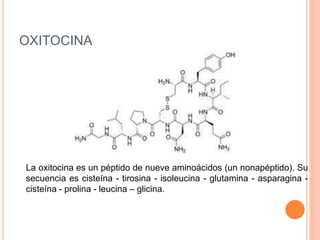 OXITOCINA
La oxitocina es un péptido de nueve aminoácidos (un nonapéptido). Su
secuencia es cisteína - tirosina - isoleucina - glutamina - asparagina -
cisteína - prolina - leucina – glicina.
 