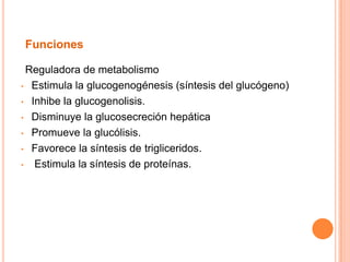 Funciones
Reguladora de metabolismo
• Estimula la glucogenogénesis (síntesis del glucógeno)
• Inhibe la glucogenolisis.
• Disminuye la glucosecreción hepática
• Promueve la glucólisis.
• Favorece la síntesis de trigliceridos.
• Estimula la síntesis de proteínas.
 