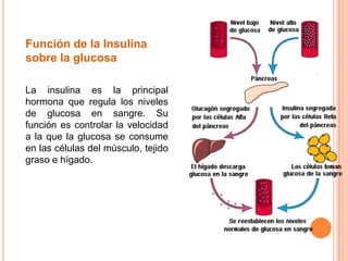 Función de la Insulina
sobre la glucosa
La insulina es la principal
hormona que regula los niveles
de glucosa en sangre. Su
función es controlar la velocidad
a la que la glucosa se consume
en las células del músculo, tejido
graso e hígado.
 