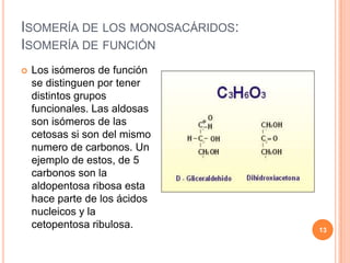 ISOMERÍA DE LOS MONOSACÁRIDOS:
ISOMERÍA DE FUNCIÓN
 Los isómeros de función
se distinguen por tener
distintos grupos
funcionales. Las aldosas
son isómeros de las
cetosas si son del mismo
numero de carbonos. Un
ejemplo de estos, de 5
carbonos son la
aldopentosa ribosa esta
hace parte de los ácidos
nucleicos y la
cetopentosa ribulosa. 13
 