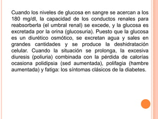 Cuando los niveles de glucosa en sangre se acercan a los
180 mg/dl, la capacidad de los conductos renales para
reabsorberla (el umbral renal) se excede, y la glucosa es
excretada por la orina (glucosuria). Puesto que la glucosa
es un diurético osmótico, se excretan agua y sales en
grandes cantidades y se produce la deshidratación
celular. Cuando la situación se prolonga, la excesiva
diuresis (poliuria) combinada con la pérdida de calorías
ocasiona polidipsia (sed aumentada), polifagia (hambre
aumentada) y fatiga: los síntomas clásicos de la diabetes.
 