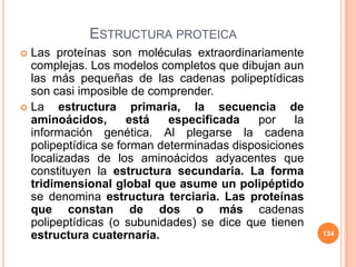 ESTRUCTURA PROTEICA
 Las proteínas son moléculas extraordinariamente
complejas. Los modelos completos que dibujan aun
las más pequeñas de las cadenas polipeptídicas
son casi imposible de comprender.
 La estructura primaria, la secuencia de
aminoácidos, está especificada por la
información genética. Al plegarse la cadena
polipeptídica se forman determinadas disposiciones
localizadas de los aminoácidos adyacentes que
constituyen la estructura secundaria. La forma
tridimensional global que asume un polipéptido
se denomina estructura terciaria. Las proteínas
que constan de dos o más cadenas
polipeptídicas (o subunidades) se dice que tienen
estructura cuaternaria. 134
 