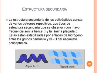ESTRUCTURA SECUNDARIA
 La estructura secundaria de los polipéptidos consta
de varios patrones repetitivos. Los tipos de
estructura secundaria que se observan con mayor
frecuencia son la hélice y la lámina plegada β.
Estas están estabilizadas por enlaces de hidrógeno
entre los grupos carbonilo y N - H del esqueleto
polipeptídico.
137
 