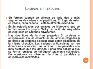 LAMINAS Β PLEGADAS
 Se forman cuando se alinean de lado dos o más
segmentos de cadenas polipeptídicas. En lugar de estar
enrollada, cada cadena β está totalmente extendida.
 Están estabilizadas por enlaces de hidrógeno que se
forman entre los grupos N-H y carbonilo del esqueleto
polipeptídico de cadenas adyacentes.
 Hay dos tipos de láminas plegadas β paralelas y
antiparalelas. En las estructuras de láminas plegadas β
paralelas las cadenas polipeptídicas están colocadas en
la misma dirección. Las cadenas antiparalelas van en
direcciones opuestas. Las láminas β antiparalelas son
más estables que las láminas β paralelas debido a que
se forman enlaces de hidrógeno totalmente colineales.
En ocasiones se observan láminas β paralelas y
antiparalelas mezcladas.
140
 