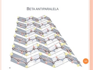 BETA ANTIPARALELA
141
 