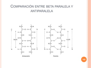 COMPARACIÓN ENTRE BETA PARALELA Y
ANTIPARALELA
142
 
