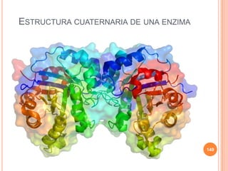ESTRUCTURA CUATERNARIA DE UNA ENZIMA
149
 