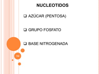 NUCLEOTIDOS
 AZÚCAR (PENTOSA)
 GRUPO FOSFATO
 BASE NITROGENADA
152
 