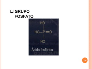  GRUPO
FOSFATO
154
 