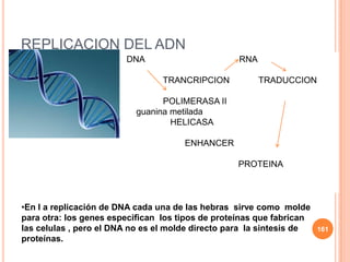 REPLICACION DEL ADN
DNA RNA
TRANCRIPCION TRADUCCION
POLIMERASA II
guanina metilada
HELICASA
ENHANCER
PROTEINA
•En l a replicación de DNA cada una de las hebras sirve como molde
para otra: los genes especifican los tipos de proteínas que fabrican
las celulas , pero el DNA no es el molde directo para la sintesis de
proteínas.
161
 