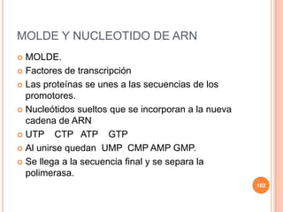 MOLDE Y NUCLEOTIDO DE ARN
 MOLDE.
 Factores de transcripción
 Las proteínas se unes a las secuencias de los
promotores.
 Nucleótidos sueltos que se incorporan a la nueva
cadena de ARN
 UTP CTP ATP GTP
 Al unirse quedan UMP CMP AMP GMP.
 Se llega a la secuencia final y se separa la
polimerasa.
162
 
