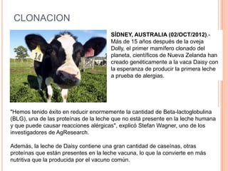 CLONACION
SÍDNEY, AUSTRALIA (02/OCT/2012).-
Más de 15 años después de la oveja
Dolly, el primer mamífero clonado del
planeta, científicos de Nueva Zelanda han
creado genéticamente a la vaca Daisy con
la esperanza de producir la primera leche
a prueba de alergias.
"Hemos tenido éxito en reducir enormemente la cantidad de Beta-lactoglobulina
(BLG), una de las proteínas de la leche que no está presente en la leche humana
y que puede causar reacciones alérgicas", explicó Stefan Wagner, uno de los
investigadores de AgResearch.
Además, la leche de Daisy contiene una gran cantidad de caseínas, otras
proteínas que están presentes en la leche vacuna, lo que la convierte en más
nutritiva que la producida por el vacuno común.
165
 