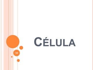 CÉLULA
168
 