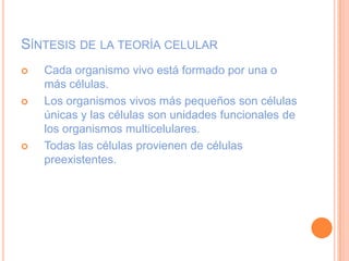SÍNTESIS DE LA TEORÍA CELULAR
 Cada organismo vivo está formado por una o
más células.
 Los organismos vivos más pequeños son células
únicas y las células son unidades funcionales de
los organismos multicelulares.
 Todas las células provienen de células
preexistentes.
 