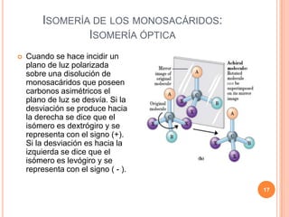 ISOMERÍA DE LOS MONOSACÁRIDOS:
ISOMERÍA ÓPTICA
 Cuando se hace incidir un
plano de luz polarizada
sobre una disolución de
monosacáridos que poseen
carbonos asimétricos el
plano de luz se desvía. Si la
desviación se produce hacia
la derecha se dice que el
isómero es dextrógiro y se
representa con el signo (+).
Si la desviación es hacia la
izquierda se dice que el
isómero es levógiro y se
representa con el signo ( - ).
17
 