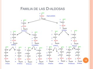FAMILIA DE LAS D-ALDOSAS
19
 
