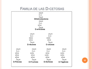 FAMILIA DE LAS D-CETOSAS
20
 