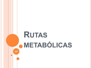 RUTAS
METABÓLICAS
205
 