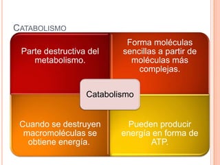 CATABOLISMO
Parte destructiva del
metabolismo.
Forma moléculas
sencillas a partir de
moléculas más
complejas.
Cuando se destruyen
macromoléculas se
obtiene energía.
Pueden producir
energía en forma de
ATP.
Catabolismo
 
