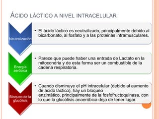 ÁCIDO LÁCTICO A NIVEL INTRACELULAR
Neutralización
• El ácido láctico es neutralizado, principalmente debido al
bicarbonato, al fosfato y a las proteinas intramusculares.
Energía
aeróbica
• Parece que puede haber una entrada de Lactato en la
mitocondria y de esta forma ser un combustible de la
cadena respiratoria.
Bloqueo de la
glucólisis
• Cuando disminuye el pH intracelular (debido al aumento
de ácido láctico), hay un bloqueo
enzimático, principalmente de la fosfofructoquinasa, con
lo que la glucólisis anaeróbica deja de tener lugar.
 
