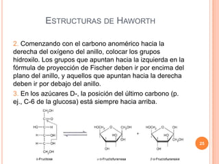 2. Comenzando con el carbono anomérico hacia la
derecha del oxígeno del anillo, colocar los grupos
hidroxilo. Los grupos que apuntan hacia la izquierda en la
fórmula de proyección de Fischer deben ir por encima del
plano del anillo, y aquellos que apuntan hacia la derecha
deben ir por debajo del anillo.
3. En los azúcares D-, la posición del último carbono (p.
ej., C-6 de la glucosa) está siempre hacia arriba.
ESTRUCTURAS DE HAWORTH
25
 