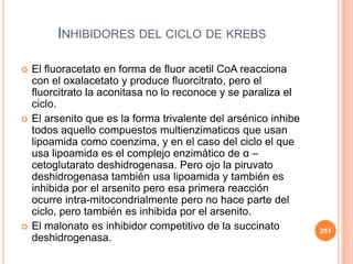 INHIBIDORES DEL CICLO DE KREBS
 El fluoracetato en forma de fluor acetil CoA reacciona
con el oxalacetato y produce fluorcitrato, pero el
fluorcitrato la aconitasa no lo reconoce y se paraliza el
ciclo.
 El arsenito que es la forma trivalente del arsénico inhibe
todos aquello compuestos multienzimaticos que usan
lipoamida como coenzima, y en el caso del ciclo el que
usa lipoamida es el complejo enzimático de α –
cetoglutarato deshidrogenasa. Pero ojo la piruvato
deshidrogenasa también usa lipoamida y también es
inhibida por el arsenito pero esa primera reacción
ocurre intra-mitocondrialmente pero no hace parte del
ciclo, pero también es inhibida por el arsenito.
 El malonato es inhibidor competitivo de la succinato
deshidrogenasa.
251
 