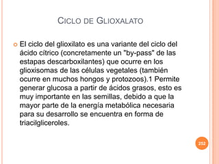 CICLO DE GLIOXALATO
 El ciclo del glioxilato es una variante del ciclo del
ácido cítrico (concretamente un "by-pass" de las
estapas descarboxilantes) que ocurre en los
glioxisomas de las células vegetales (también
ocurre en muchos hongos y protozoos).1 Permite
generar glucosa a partir de ácidos grasos, esto es
muy importante en las semillas, debido a que la
mayor parte de la energía metabólica necesaria
para su desarrollo se encuentra en forma de
triacilgliceroles.
252
 