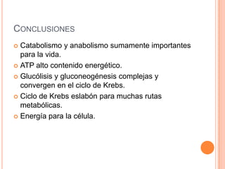 CONCLUSIONES
 Catabolismo y anabolismo sumamente importantes
para la vida.
 ATP alto contenido energético.
 Glucólisis y gluconeogénesis complejas y
convergen en el ciclo de Krebs.
 Ciclo de Krebs eslabón para muchas rutas
metabólicas.
 Energía para la célula.
 