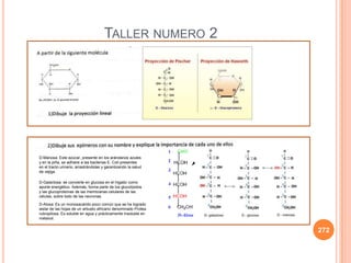 TALLER NUMERO 2
272
D-Manosa: Este azúcar, presente en los arándanos azules
y en la piña, se adhiere a las bacterias E. Coli presentes
en el tracto urinario, arrastrándolas y garantizando la salud
de vejiga
D-Galactosa: se convierte en glucosa en el hígado como
aporte energético. Además, forma parte de los glucolípidos
y las glucoproteínas de las membranas celulares de las
células, sobre todo de las neuronas.
D-Alosa: Es un monosacárido poco común que se ha logrado
aislar de las hojas de un arbusto africano denominado Protea
rubropilosa. Es soluble en agua y prácticamente insoluble en
metanol.
 