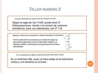 273
TALLER NUMERO 2
Según la regla de Van´t Hoff, puede tener 2n
Estereoisomeros, siendo n el numero de carbonos
asimétricos, para una aldohexosa, son 24 =16
Forma parte de los azúcares que componen algunos
glucosaminoglucanos como el dermatán sulfato y el
heparán sulfato, importantes componentes de la matriz
extracelular.
Es un anómero alfa, pues va hacia abajo en la estructura
cíclica y a la derecha en la lineal .
 