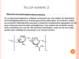 282
TALLER NUMERO 2
Es un glucosaminoglucano sulfatado compuesto por una cadena de disacáridos
de N-acetilgalactosamina y N-ácido glucurónico alternados. El condroitín sulfato
se encuentra habitualmente asociado a proteínas constituyendo agregados de alto
peso molecular denominados proteoglicanos. Una cadena de condroitín puede
estar constituida por más de 100 azúcares individuales, cada uno de los cuales
puede estar sulfatado en posiciones y en número diverso
 