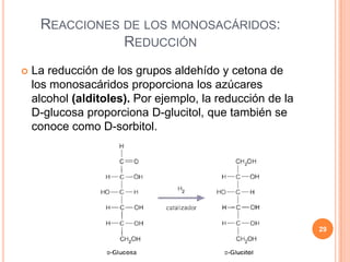 REACCIONES DE LOS MONOSACÁRIDOS:
REDUCCIÓN
 La reducción de los grupos aldehído y cetona de
los monosacáridos proporciona los azúcares
alcohol (alditoles). Por ejemplo, la reducción de la
D-glucosa proporciona D-glucitol, que también se
conoce como D-sorbitol.
29
 