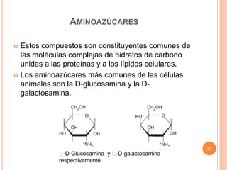 AMINOAZÚCARES
 Estos compuestos son constituyentes comunes de
las moléculas complejas de hidratos de carbono
unidas a las proteínas y a los lípidos celulares.
 Los aminoazúcares más comunes de las células
animales son la D-glucosamina y la D-
galactosamina.
-D-Glucosamina y -D-galactosamina
respectivamente
37
 
