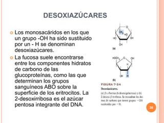 DESOXIAZÚCARES
 Los monosacáridos en los que
un grupo -OH ha sido sustituido
por un - H se denominan
desoxiazúcares.
 La fucosa suele encontrarse
entre los componentes hidratos
de carbono de las
glucoproteínas, como las que
determinan los grupos
sanguíneos ABO sobre la
superficie de los eritrocitos. La
2-desoxirribosa es el azúcar
pentosa integrante del DNA. 38
 