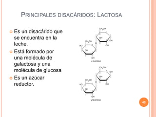 PRINCIPALES DISACÁRIDOS: LACTOSA
 Es un disacárido que
se encuentra en la
leche.
 Está formado por
una molécula de
galactosa y una
molécula de glucosa
 Es un azúcar
reductor.
40
 