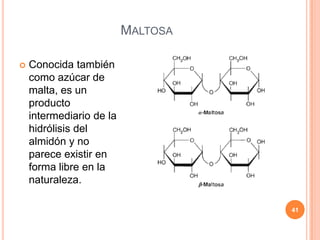 MALTOSA
 Conocida también
como azúcar de
malta, es un
producto
intermediario de la
hidrólisis del
almidón y no
parece existir en
forma libre en la
naturaleza.
41
 