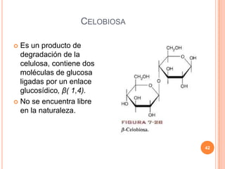 CELOBIOSA
 Es un producto de
degradación de la
celulosa, contiene dos
moléculas de glucosa
ligadas por un enlace
glucosídico, β( 1,4).
 No se encuentra libre
en la naturaleza.
42
 