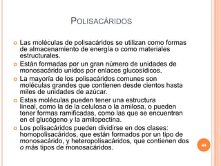 POLISACÁRIDOS
 Las moléculas de polisacáridos se utilizan como formas
de almacenamiento de energía o como materiales
estructurales.
 Están formadas por un gran número de unidades de
monosacárido unidos por enlaces glucosídicos.
 La mayoría de los polisacáridos comunes son
moléculas grandes que contienen desde cientos hasta
miles de unidades de azúcar.
 Estas moléculas pueden tener una estructura
lineal, como la de la celulosa o la amilosa, o pueden
tener formas ramificadas, como las que se encuentran
en el glucógeno y la amilopectina.
 Los polisacáridos pueden dividirse en dos clases:
homopolisacáridos, que están formados por un tipo de
monosacárido, y heteropolisacáridos, que contienen dos
o más tipos de monosacáridos. 44
 