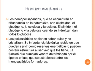 HOMOPOLISACÁRIDOS
 Los homopolisacáridos, que se encuentran en
abundancia en la naturaleza, son el almidón, el
glucógeno, la celulosa y la quitina. El almidón, el
glucógeno y la celulosa cuando se hidrolizan dan
todos D-glucosa.
 Los polisacáridos no tienen sabor dulce y no
cristalizan. Su importancia biológica reside en que
pueden servir como reservas energéticas o pueden
conferir estructura al ser vivo que los tiene. La
función que cumplan vendrá determinada por el
tipo de enlace que se establezca entre los
monosacáridos formadores. 45
 