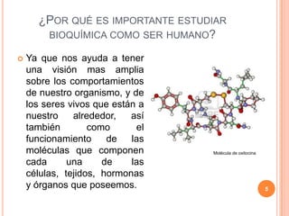 ¿POR QUÉ ES IMPORTANTE ESTUDIAR
BIOQUÍMICA COMO SER HUMANO?
 Ya que nos ayuda a tener
una visión mas amplia
sobre los comportamientos
de nuestro organismo, y de
los seres vivos que están a
nuestro alrededor, así
también como el
funcionamiento de las
moléculas que componen
cada una de las
células, tejidos, hormonas
y órganos que poseemos.
Molécula de oxitocina
5
 