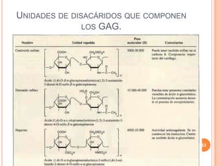 UNIDADES DE DISACÁRIDOS QUE COMPONEN
LOS GAG.
53
 