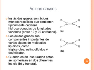ÁCIDOS GRASOS
 los ácidos grasos son ácidos
monocarboxílicos que contienen
típicamente cadenas
hidrocarbonadas de longitudes
variables (entre 12 y 20 carbonos).
 Los ácidos grasos son
componentes importantes de
varias clases de moléculas
lipídicas, como
trigliceroles, esfingolípidos y
fosfolípidos.
 Cuando están insaturados estos
se isomerizan en dos diferentes
los cis (b) y trans(a).
59
 