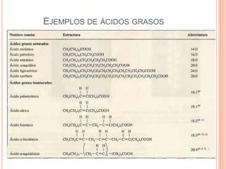 EJEMPLOS DE ÁCIDOS GRASOS
60
 