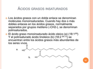 ÁCIDOS GRASOS INSATURADOS
 Los ácidos grasos con un doble enlace se denominan
moléculas monoinsaturadas. Cuando hay dos o más
dobles enlaces en los ácidos grasos, normalmente
separados por grupos metileno (-CH2-), se denominan
polinsaturados.
 El ácido graso monoinsaturado ácido oleico (a) (18:1Δ9)
Y el polinsaturado ácido linoleico (b) (18:2 Δ9,12) se
encuentran entre los ácidos grasos más abundantes de
los seres vivos.
a.
b.
61
 
