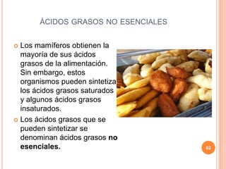 ÁCIDOS GRASOS NO ESENCIALES
 Los mamíferos obtienen la
mayoría de sus ácidos
grasos de la alimentación.
Sin embargo, estos
organismos pueden sintetizar
los ácidos grasos saturados
y algunos ácidos grasos
insaturados.
 Los ácidos grasos que se
pueden sintetizar se
denominan ácidos grasos no
esenciales. 62
 