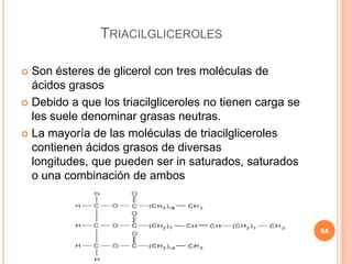 TRIACILGLICEROLES
 Son ésteres de glicerol con tres moléculas de
ácidos grasos
 Debido a que los triacilgliceroles no tienen carga se
les suele denominar grasas neutras.
 La mayoría de las moléculas de triacilgliceroles
contienen ácidos grasos de diversas
longitudes, que pueden ser in saturados, saturados
o una combinación de ambos
64
 