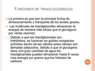 FUNCIONES DE TRIACILGLICEROLES
 La primera es que son la principal forma de
almacenamiento y transporte de los ácidos grasos.
 Las moléculas de triacilgliceroles almacenan la
energía de manera más eficaz que el glucógeno
por varias razones:
1. Debido a que los triacilgliceroles son
hidrófobos, se fusionan en gotitas compactas
anhidras dentro de las células estas células son
llamadas adipocitos, debido a que el glucógeno
tiene una gran cantidad de agua los
triacilgliceroles pueden almacenar hasta 8 veces
mas energía por gramo que los hidratos de
carbono 66
 