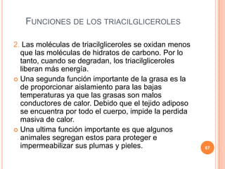FUNCIONES DE LOS TRIACILGLICEROLES
2. Las moléculas de triacilgliceroles se oxidan menos
que las moléculas de hidratos de carbono. Por lo
tanto, cuando se degradan, los triacilgliceroles
liberan más energía.
 Una segunda función importante de la grasa es la
de proporcionar aislamiento para las bajas
temperaturas ya que las grasas son malos
conductores de calor. Debido que el tejido adiposo
se encuentra por todo el cuerpo, impide la perdida
masiva de calor.
 Una ultima función importante es que algunos
animales segregan estos para proteger e
impermeabilizar sus plumas y pieles. 67
 